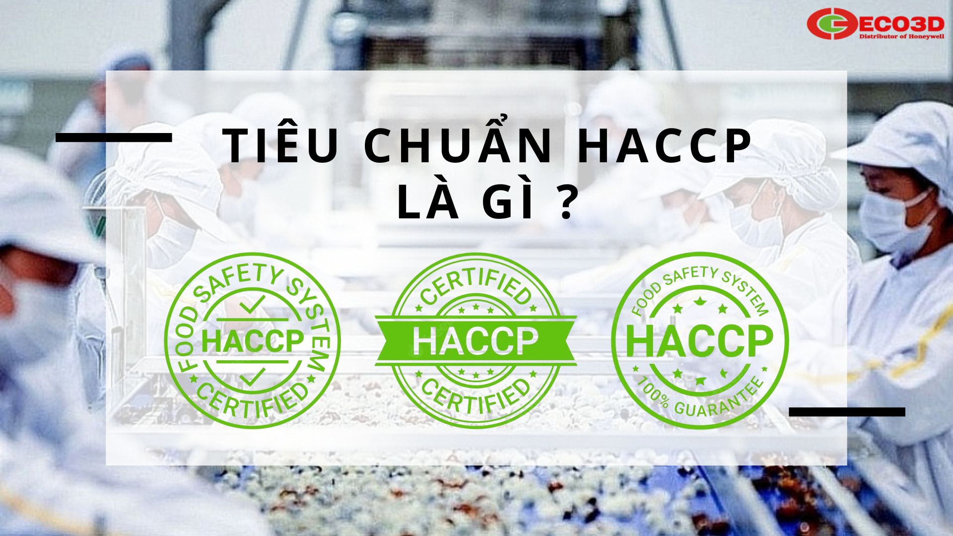 Tiêu Chuẩn HACCP Dành Cho Găng Tay Chế Biến Thực Phẩm Là Gì ?